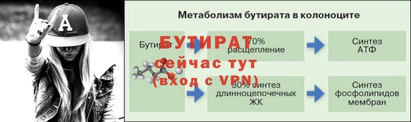 прущие грибы Белокуриха